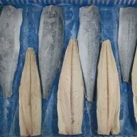 پیسیفک میکریل فلیٹ